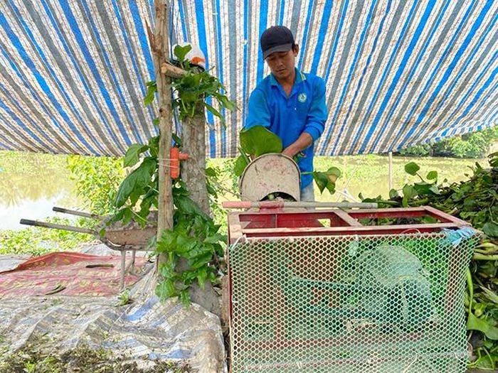 Anh Lê Văn Khoa sản xuất phân hữu cơ vi sinh từ lục bình phục vụ thị trường