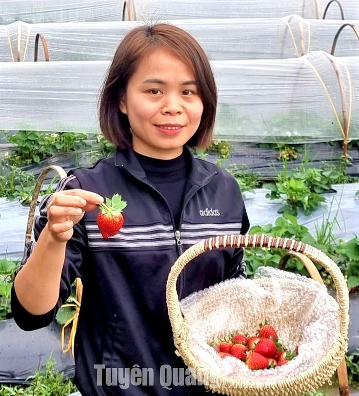 Chị Phan Thị Thanh.
