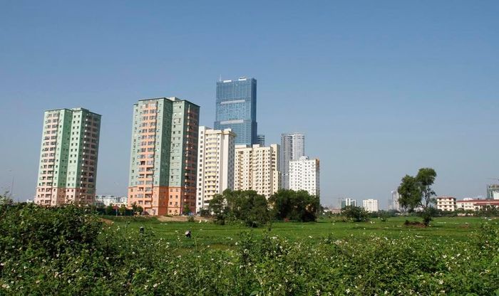 Đất đai thuộc sở hữu toàn dân do Nhà nước đại diện chủ sở hữu. Ảnh: Hải Linh