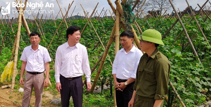 Lãnh đạo huyện Anh Sơn kiểm tra công tác dồn điền, đổi thửa ở Anh Sơn. Ảnh: P.V
