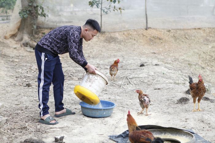 Anh Thân Thế Anh được tổ chức Đoàn, Hội LHTN tỉnh Bắc Giang hỗ trợ vay vốn với lãi suất ưu đãi để làm kinh tế trang trại.