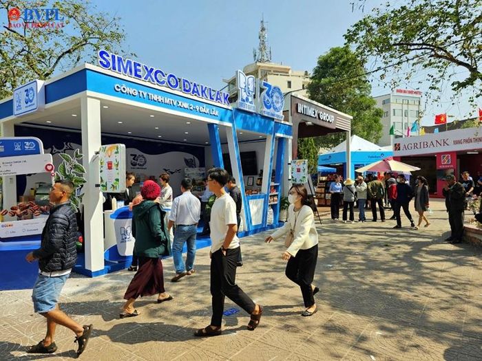 Hội chợ Triển lãm chuyên ngành cà phê năm 2023 có hơn 400 gian hàng tham gia.
