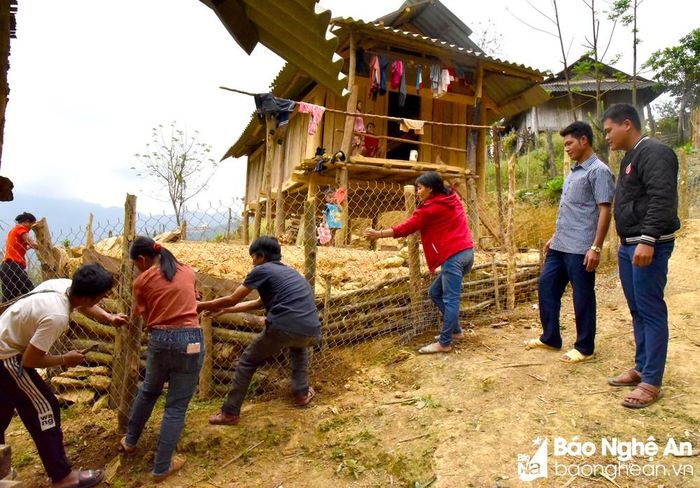 Địa hình đồi núi ở xã Bảo Nam có độ dốc lớn nên người dân không có nhiều quỹ đất để xây dựng, sản xuất. Nhiều hộ phải dùng cây cối kè đắp đất để làm sân, vườn. Muốn mua nguyên vật liệu xây nhà cũng khó khăn vì ngoài giá thành vật liệu còn phải thêm chi phí vận chuyển cao. Ảnh: HT