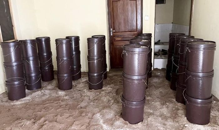 Phụ nữ có thể trồng tới 500kg nấm trên một mét vuông mỗi năm trong những thùng như thế này. Ảnh: Nocamels