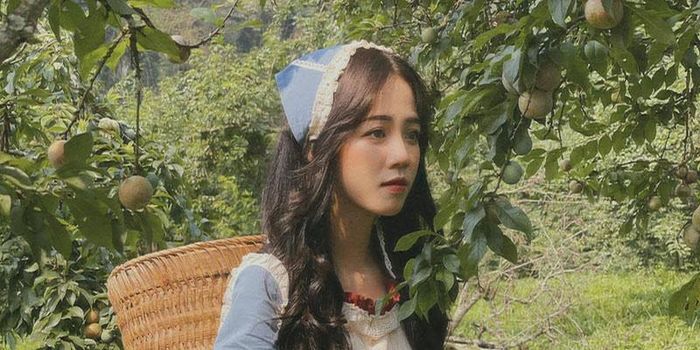 Du lịch Mộc Châu mùa hè để tham gia lễ hội hái mận vô cùng thú vị 