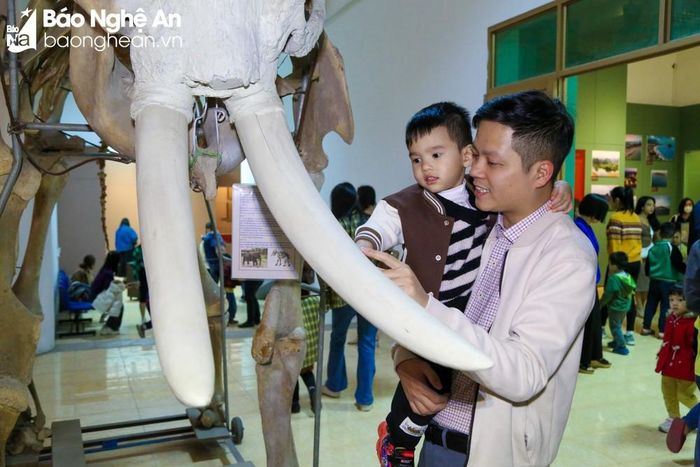 Người dân tham quan tại Bảo tàng Nghệ An. Ảnh liệu: Đình Tuyên