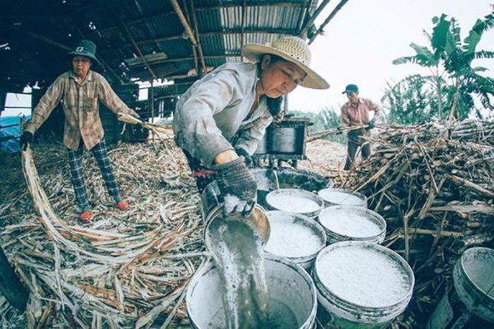 Lò đường thủ công rực lửa nằm ngoài ruộng mía.