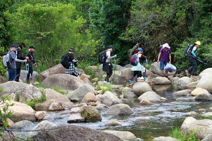 Du khách trải nghiệm tour dã ngoại, leo núi Chư Yang Lắk ở huyện Lắk, tỉnh Đắk Lắk. Ảnh: Hoài Thu/TTXVN