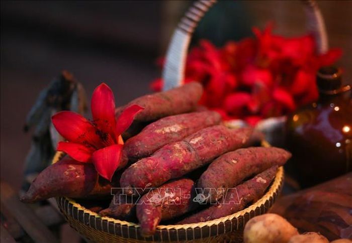 Các gian hàng được trang trí hoa gạo. Ảnh: Thu Phương/TTXVN phát