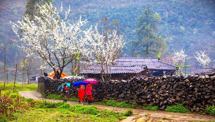 Con đường xuân vùng biên cương yên bình nâng bước cho trẻ em đến trường tìm học con chữ. Ảnh: Nhật Nguyên. 