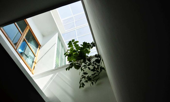 Nhờ khoảng lùi phía trước và phía sau, ngôi nhà giống như tách biệt với đường phố để chìm đắm trong sự yên tĩnh và không gian của cây xanh.