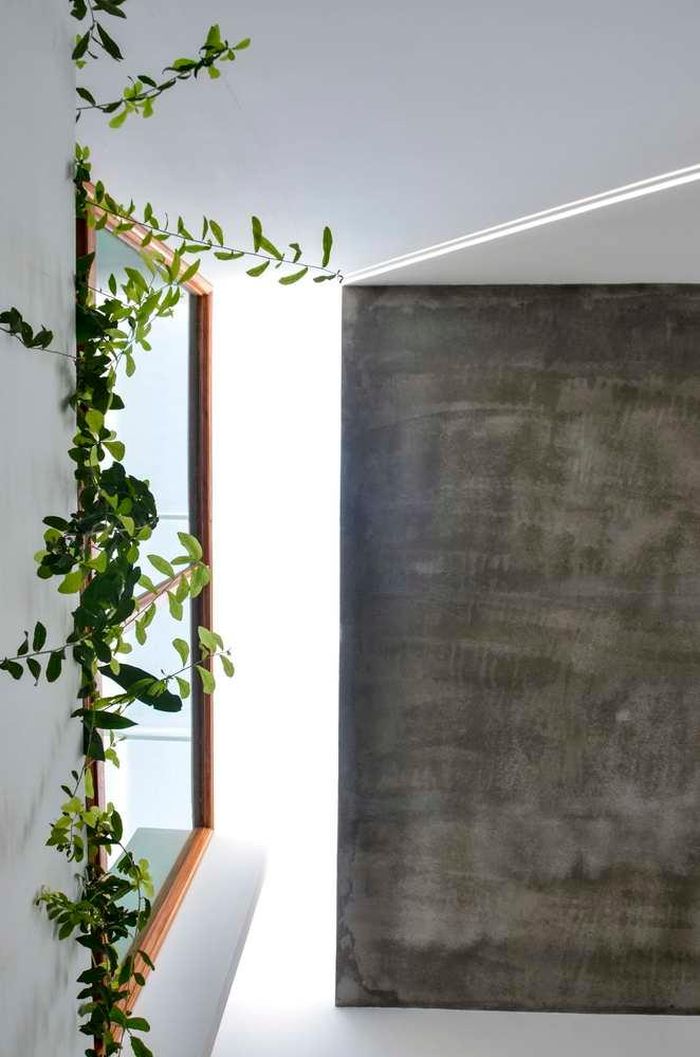 Cây xanh được bố trí ở mọi không gian trong nhà, để con người đến gần với thiên nhiên hơn.