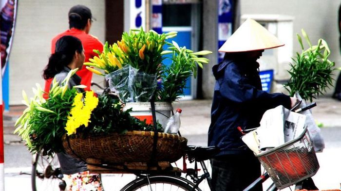 Xe đạp chở hoa về phố.