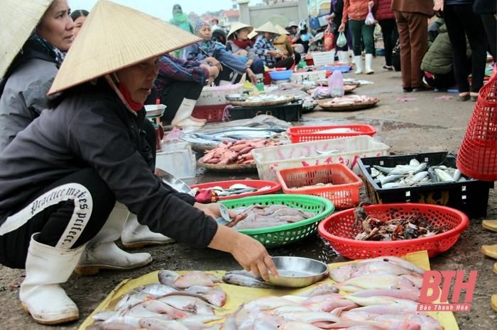 Cá về bến. Ảnh: C.A