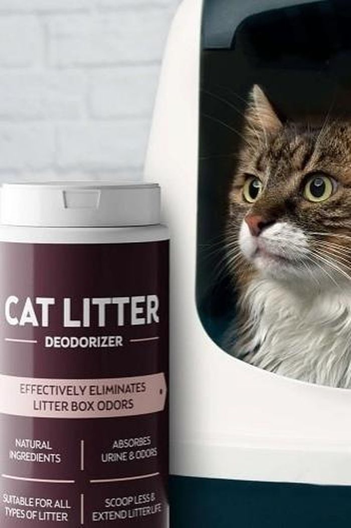  Chất khử mùi làm giảm mùi hôi ở chậu cát của mèo. Ảnh minh họa: Cat pointer.