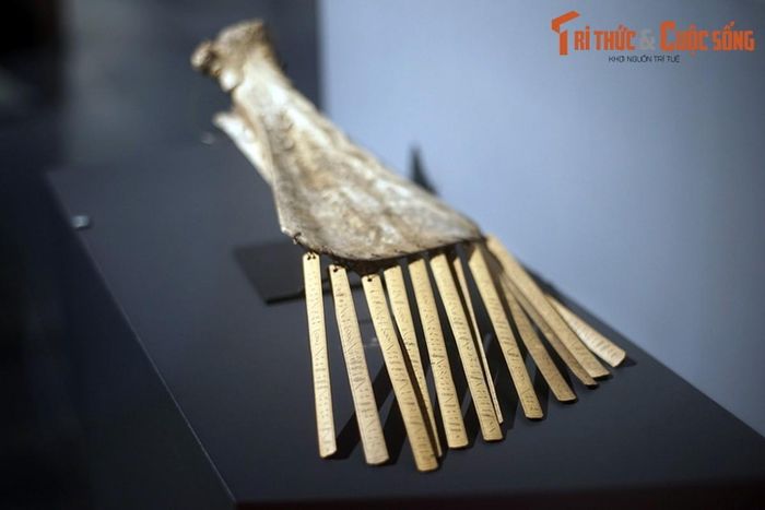 Hiện vật gồm một tấm xương gắn với với 12 thẻ tre, tương ứng với 12 tháng trong lịch của người Batak. Mỗi thẻ tre được chia thành 30 ngày. Trong hệ thống lịch này, sau vài năm sẽ có tháng nhuận, tương tự âm lịch Việt Nam.