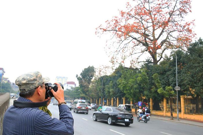Một nhiếp ảnh gia tranh thủ ghi lại khoảnh khắc đẹp trong mùa hoa gạo tại Bảo tàng Lịch sử Việt Nam.
