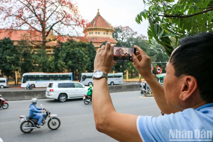 Một người dân chụp hình cây hoa gạo, lưu giữ lại khoảnh khắc đẹp.