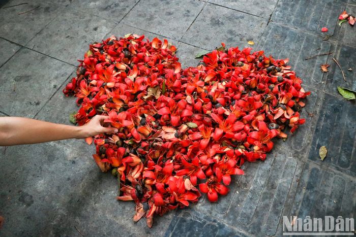 “Anh vừa trở lại bến sông Đúng mùa hoa gạo trổ bông rực trời Ngậm ngùi nhặt cánh hoa rơi Bâng khuâng nỗi nhớ một thời bên nhau” (Trích bài thơ Nhớ mùa hoa gạo - Trần Quang Hải)
