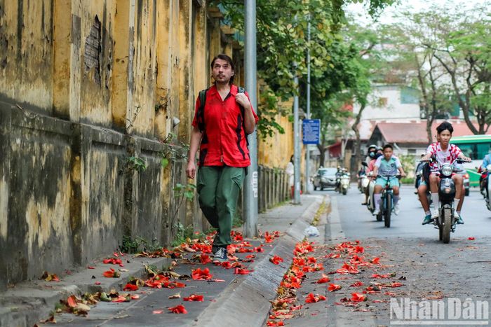 Những bông hoa rụng xuống lòng đường tạo cảm giác lãng mạn mỗi khi bước qua.