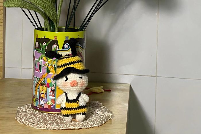  Các bạn trẻ ưa chuộng những mẫu len dễ thương, dùng để trang trí trong nhà. Để lan tỏa niềm yêu thích đan len, cũng như thay đổi định kiến của nhiều người về đồ handmade, Trúc Linh đã quay những video về quá trình làm ra một sản phẩm thủ công bằng len lên TikTok và nhận được rất nhiều phản hồi từ mọi người. Tài khoản TikTok của cô bạn hiện có hơn 6.000 lượt theo dõi. 