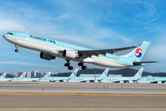 Các hãng hàng không Hàn Quốc tăng mạnh các chuyến bay đến Nhật Bản sau khi các hạn chế nhập cảnh được nới lỏng. (Nguồn: Yonhap News)