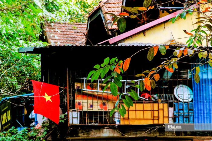 Góc phố khu tập thể Giảng Võ được tô điểm thêm nhiều màu sắc.