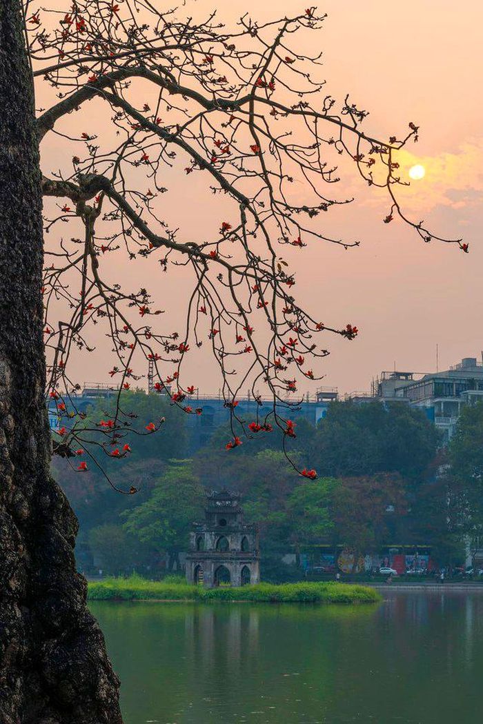 Khung cảnh thơ mộng ở hồ Hoàn Kiếm mùa hoa gạo nở