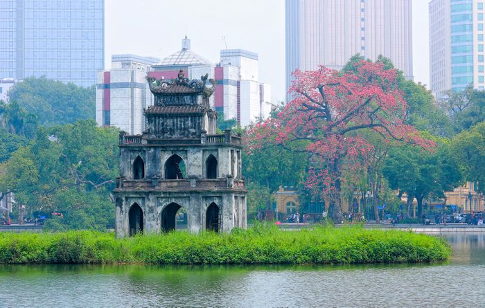 Cây hoa gạo bên hồ Gươm mang dấu ấn thời gian đặc biệt của Hà Nội