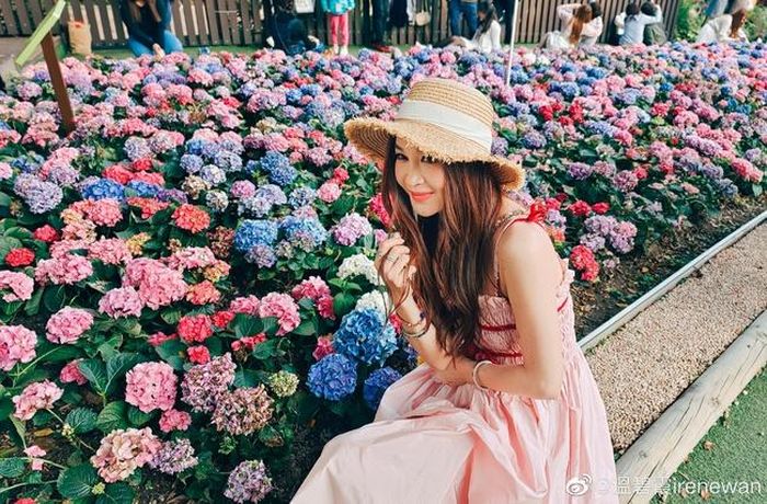 Nhan sắc của nữ diễn viên khiến công chúng ngỡ ngàng vì "không chịu già"