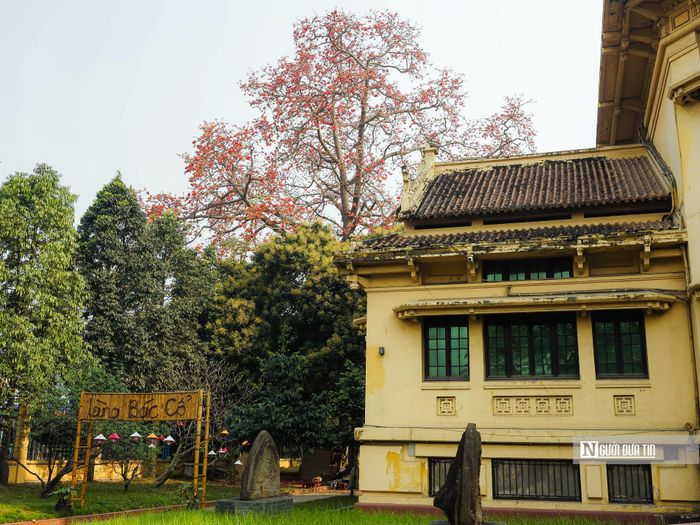 Ghi nhận của Người Đưa Tin những ngày tháng 3 trên nhiều tuyến phố ở Hà Nội như Trần Khánh Dư, Phạm Ngũ Lão, ngã ba Giải Phóng - Phương Mai, Hồ Gươm... cả khoảng trời đang được nhuộm đỏ bởi sắc hoa gạo.