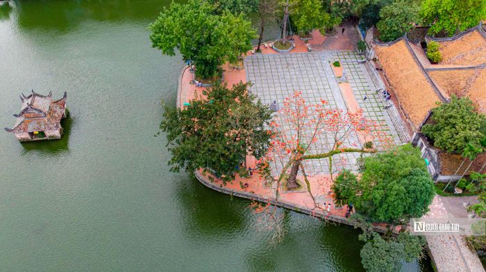 Mỗi độ tháng 3 về, tại trước sân chùa Thầy (huyện Quốc Oai, Tp.Hà Nội) cây gạo cổ thụ ở Chùa Thầy bắt đầu nở hoa, nhuộm lên những sắc đỏ rực rỡ trong không gian ngôi chùa cổ kính.