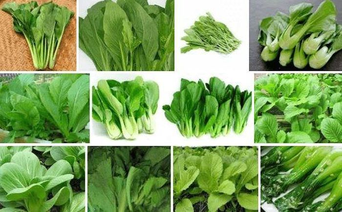 Chế độ ăn nhiều rau lá ngăn ngừa suy giảm nhận thức.