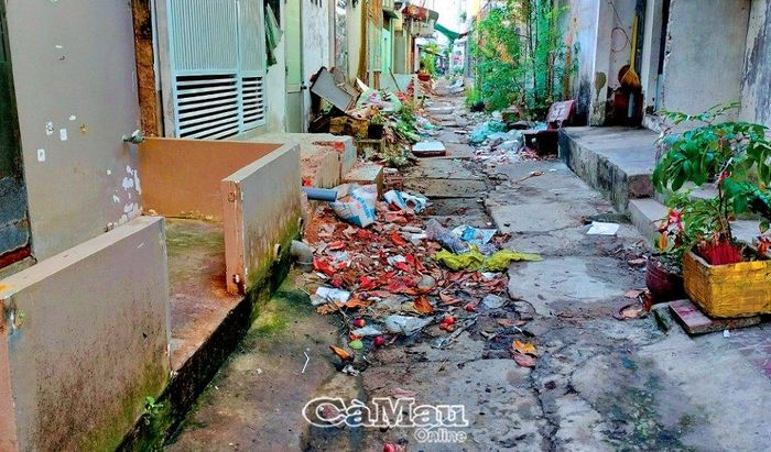 Tuyến Kênh 16 đấu nối với tuyến Kênh Chùa, kéo dài từ Phường 9 đến Phường 1, có cửa xả trên đường Lý Văn Lâm. Sau khi thành phố cải tạo, xây dựng hạ tầng thoát nước, dọc theo tuyến này tiếp tục bị người dân xây dựng lấn chiếm.