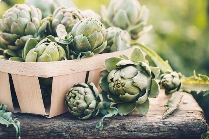 Atiso giàu chất xơ, vitamin, khoáng chất và chất chống oxy hóa và ít chất béo. Thế nhưng, loại thực phẩm này ít được nhiều người biết đến cũng như sử dụng.