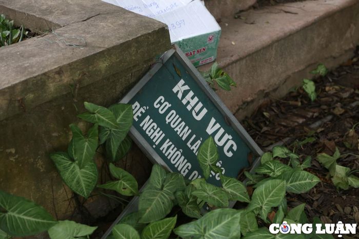  Khu vực cơ quan quản lý tràn ngập rác thải, cây không được phát quang, tấm biển nghiêng đổ. 