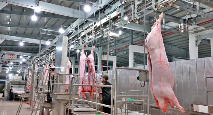 Tp.HCM đang nỗ lực công nghiệp hóa hoạt động giết mổ gia súc, gia cầm trên địa bàn sau 10 năm trễ hẹn.