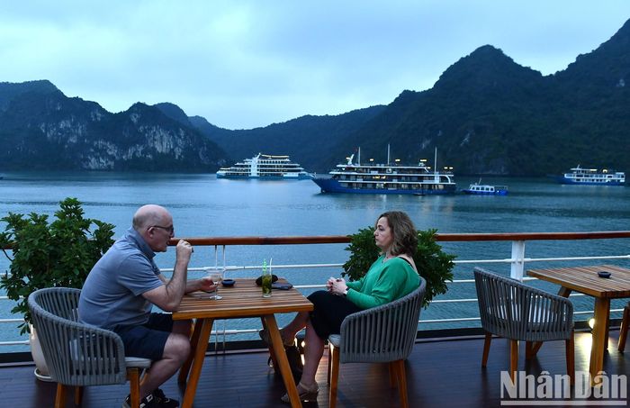 Thưởng thức tiệc trà lúc hoàng hôn là một trong những khoảnh khắc đáng nhớ của du khách.