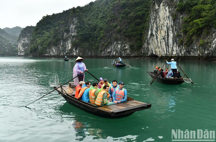 Rời du thuyền Heritage Cruises Bình Chuẩn, du khách đi thuyền nan do những người dân bản địa chèo khám phá vẻ đẹp hoang sơ của vịnh Lan Hạ.