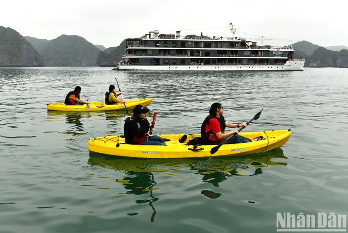 Nhóm du khách người Việt chèo thuyền kayak trên vịnh Lan Hạ.