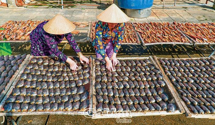 Nhiều mặt hàng khô ở Cảng cá Cà Mau được phơi vào buổi sáng.