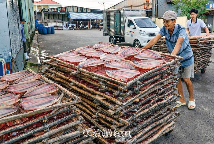 Chiều về, các xịa khô đủ nắng được các chủ vựa đẩy vào để phục vụ thị trường Tết.