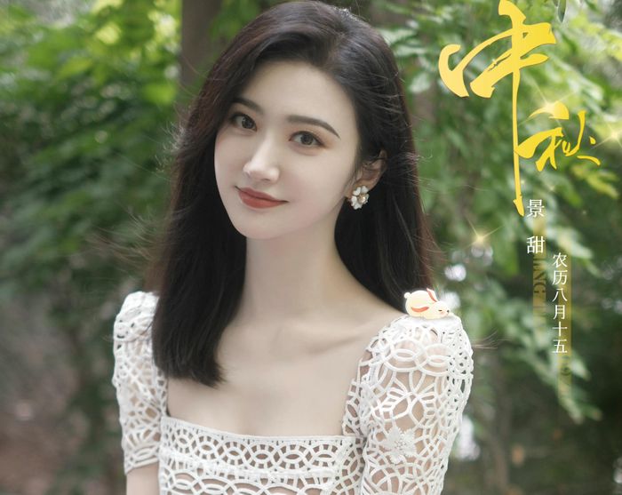  Bên cạnh đó, diễn xuất của Cảnh Điềm cũng không được đánh giá cao. Cô vẫn chỉ có thể nhận những bộ phim cổ trang ngôn tình dù đã bước sang tuổi 35. Trong khi đó, dòng phim này hiện tại chuộng những cái tên trẻ như Triệu Lộ Tư, Ngu Thư Hân, Điền Hi Vi, Vương Sở Nhiên.... Vì thế, cơ hội để Cảnh Điềm tiếp xúc với các kịch bản chất lượng, có mức đầu tư lớn không nhiều. 