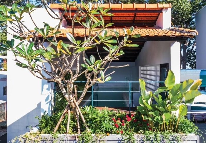 Các mảng xanh trong nhà cũng đóng vai trò rất lớn đưa ngôi nhà nhỏ trở thành "resort tại gia". Nguồn ảnh: Hiroyuki Oki