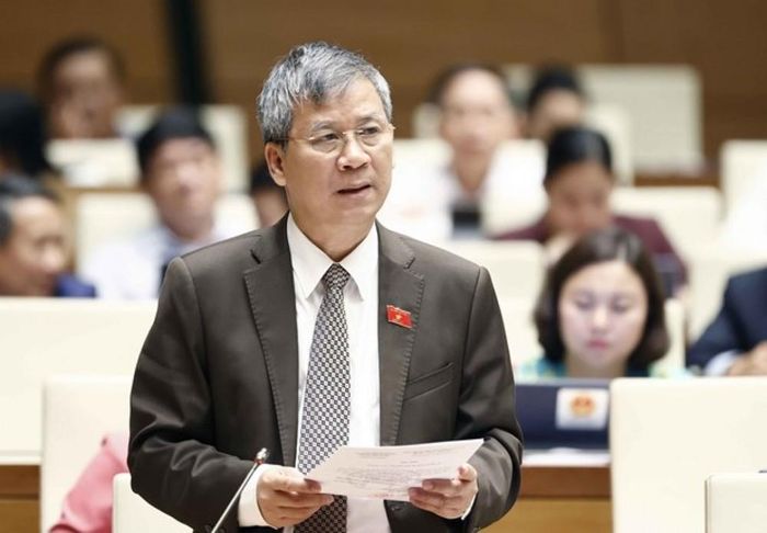 Đại biểu Quốc hội Thành phố Hà Nội Nguyễn Anh Trí phát biểu. (Ảnh: Doãn Tấn/TTXVN)