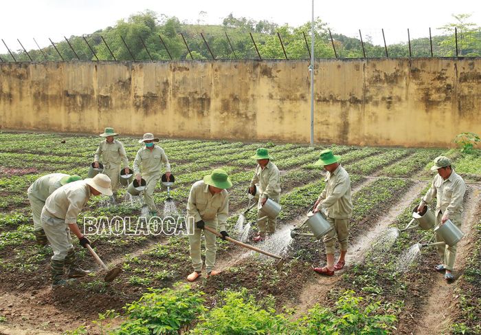 Các sản phẩm làm ra đều được chia lợi nhuận cho chính các học viên.