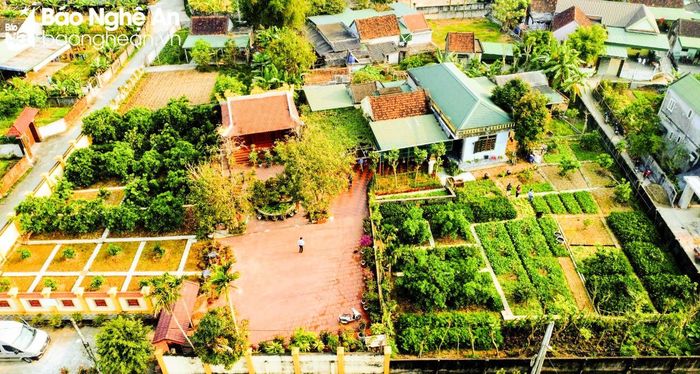 Rộng hơn 1.000m2, khu vườn của gia đình bà Cao Thị Hợi, ông Hoàng Văn Thái (xóm Kim La, xã Nghi Long, huyện Nghi Lộc) được quy hoạch theo các phân khu chức năng như: Khu trồng cây ăn trái, khu trồng rau, khu trồng dược liệu, khu chăn nuôi khép kín… Ảnh tư liệu: Thế Thắng