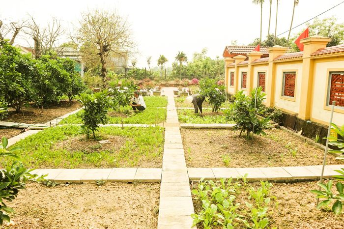 Các đường đi, lối lại trong vườn được xếp bằng gạch, rất sạch sẽ và thuận tiện. “Tận dụng gạch thừa của các công trình xây dựng, tôi sắp gạch thành hàng, lối để phân thành các ô, thửa thuận lợi cho việc chăm sóc, thu hái các sản phẩm trong vườn, vừa đảm bảo sạch, đẹp”, ông Hoàng Văn Thái cho biết. Ảnh: Thanh Phúc