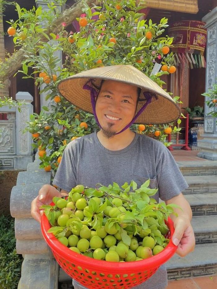 Mới đây, nam nghệ sĩ khoe cảnh thu hoạch mơ trong biệt phủ khiến ai nấy đều ngưỡng mộ. Chỉ mới đầu mùa nhưng nghệ sĩ Vượng Râu đã thu hoạch được cả rổ mơ đầy.