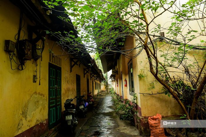 Với diện tích sử dụng 5.500m2, nhưng hiện tại nơi đây bị bỏ hoang, cửa đóng then cài.